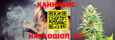 стаф Будённовск