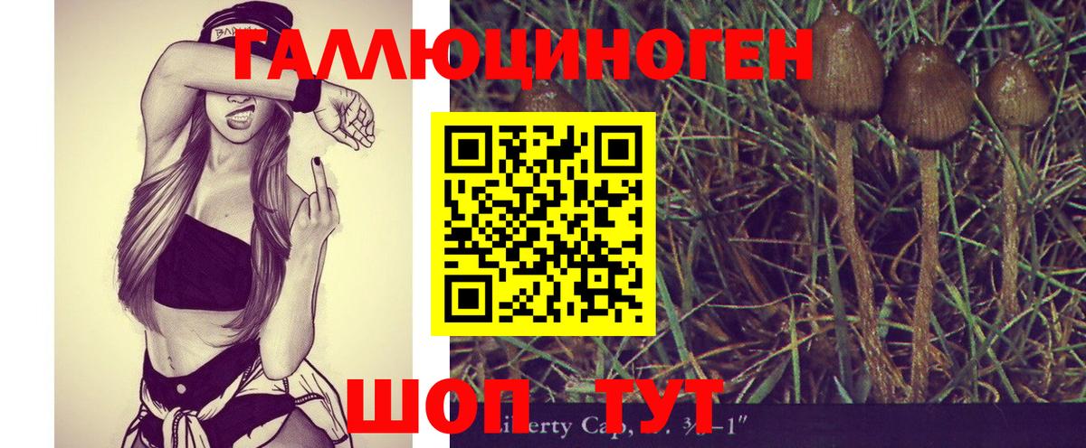 Псилоцибиновые грибы MAGIC MUSHROOMS Мыски