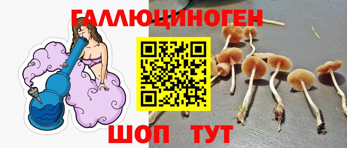 наркошоп  Галлюциногенные грибы Psilocybe  Псилоцибиновые грибы Psilocybine cubensis  Вход с VPN  Мыски 